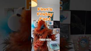 The word NERD - Finns Friday Facts