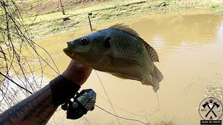 Seta tabarana essa não perdoa! #guiadomato #shorts #pescacomestilingue