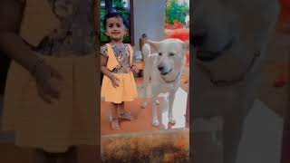 Cute Dog  love 💞 WhatsApp status animal.