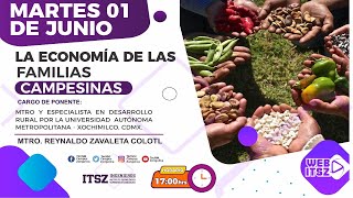 LA ECONOMÍA DE LAS FAMILIAS CAMPESINAS