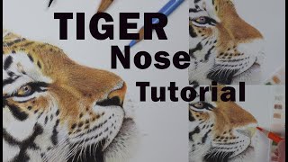 Tiger Nose Tutorial - Real time tutorial