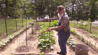 EASY BUILD! MOVEABLE GARDEN TRELLIS