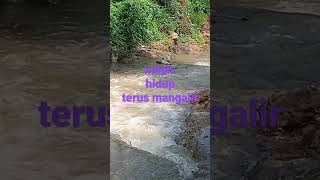 kehidupan yang terus mengalir #kehidupan #pemandangan #indah