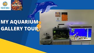 Full tour of my aquarium gallery/ep 40 / #reeftank  #aquarium  #saltwateraquarium #clownfish