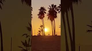 Venice Beach  | Los Angeles, California #shorts #short