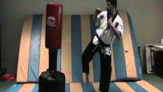 Turning kick   White Belt Kicks and punches