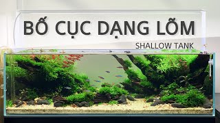 SHALLOW TANK SETUP - HỒ THỦY SINH BỐ CỤC DẠNG LÕM