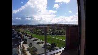 151  Apartments for Rent in Auckland  Hobsonville Apartment 2BR 2BA by Auckland Property Manager