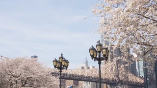 New York City | Spring in the city and exploring new places