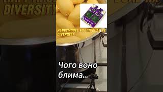 Що означає блимання приймача Happymodel ES900 DUAL RX ELRS diversity receiver #fpv #українською