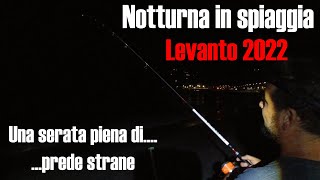 Pesca dalla spiaggia a levanto... grufalori.... ma non solo....