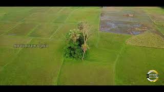 গ্রাম বাংলার রূপ ও বৈচিত্র রিলাক্স মিউজিক | village area of bangladesh