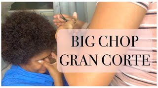 THE BIG CHOP 2020 / GRAN CORTE EN CUARENTENA ¿¡Le gusto!?😅-RIZO 3C-4A