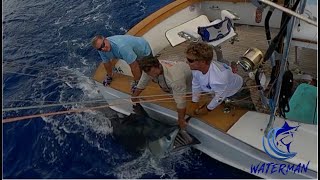 Epic 800+ lb Giant Kona Blue Marlin | Waterman S03 EP6 | Visions of Granders