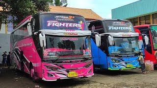 CINEMATIC BUS FITRI TRANS FIGHTER MENGDUO FREE MENTAHAN