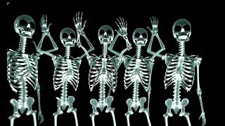 Terrifying Skeletons Dancing in the Dark | Perfect for Halloween Window Display