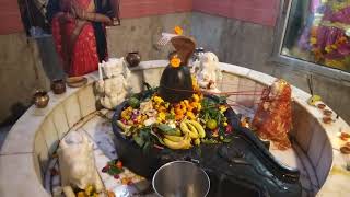 Mahashivratri and some temples in Delhi colony