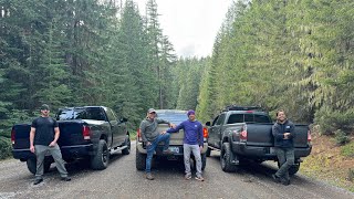 We Setup camp on the Mountain to forage for Matsutake Pine Mushrooms