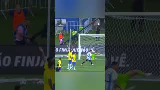 Argentina Goal vs brazil #viral #argentinavsbrazil #shortsvideo #shorts #short