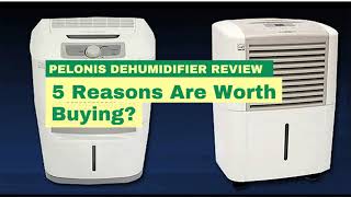 Pelonis Dehumidifier Review: 5 Reasons Are Worth Buying?