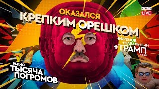 Егор Погром: Навальный очнулся, Трамп взбунтовался, Лукашенко стал героем боевика #CZARTV