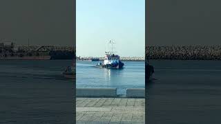 Fish Boat  | Barka Marina | Oman #shorts #viral #boat