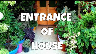 Step into a Floral Paradise: Stunning House Entrance Makeover with Lush Plants and Colorful Flowers