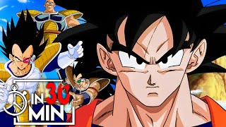 DRAGON BALL Z SAIYAJIN SAGA IN 30 MINUTEN