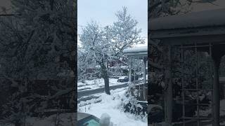 Snowing again here #alishbavlogs #ytshorts #shorts #ChrisBrown #AngelNumbers #OfficialVideo