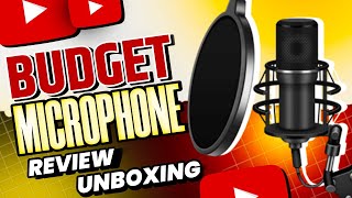 Budget Microphone WR 800 Condenser Mic Review & Unboxing 2024 |