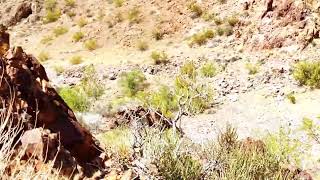 Gold Prospecting Nevada Las Vegas