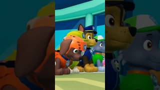 PAW Patrol On A Roll Short Video 15