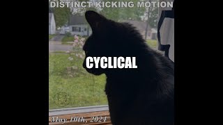 Distinct Kicking Motion - Cyclical