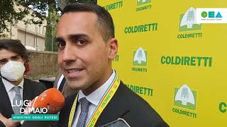 Ucraina, Di Maio: Sbloccare grano, chi gioca con prezzi causa morte milioni di bimbi