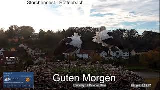 2024 10 17 Storchennest Röttenbach, Guten Morgen, beide Rötti's im Nest 😊😊😊😊