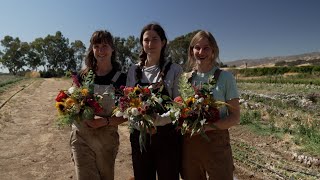 Why Customers are Displaying Organic Flowers on their Dinner Tables - America's Heartland