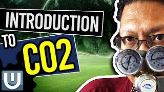 Introduction To Co2 - The Ultimate Aquarium Co2 Guide - Part 1