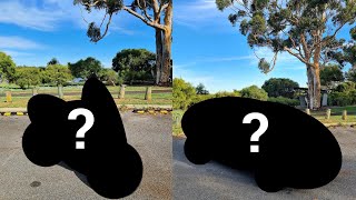 I bought a Project Car and Motorbike in Western Australia! 🇦🇺