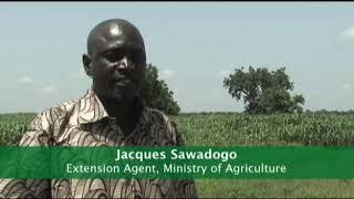 Soil Fertility Management: Climate Change Adapation Technology