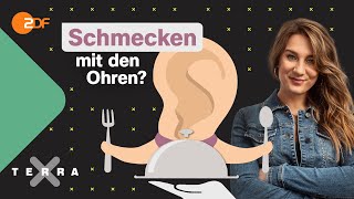 Food Sounds: Dein Ohr isst mit! | Terra Xplore mit Biologin Jasmina Neudecker