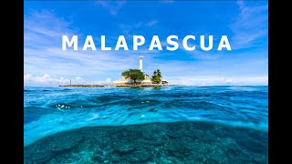 [4K] Malapascua diving 말라파스쿠아 다이빙 #cebu#philippines#diving#malapascua#필리핀#스쿠버다이빙#환도상어#만다린#devocean