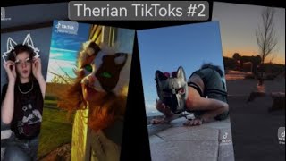 Therian TikTok compilation