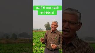 सरसों में आरा मक्खी का नियंत्रण! #farming