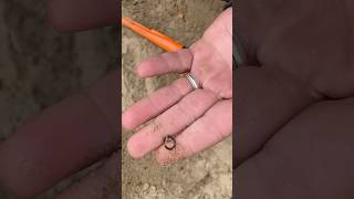 September 16, 2024 Metal Detecting