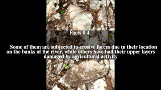 Damariscotta Shell Midden Historic District Top # 6 Facts