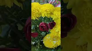 Flower Show 2022,BGR Township || Bongaigaon || Beautiful Flower Collections #shorts