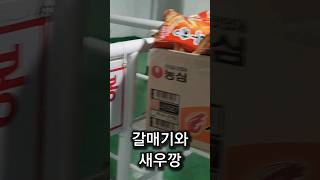 갈매기와 새우깡