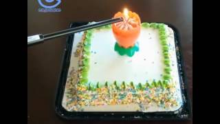 Magic Spinning And Singing Louts Flower Birthday Candle