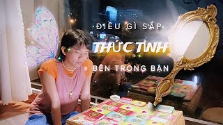 Điều gì sắp “THỨC TỈNH” bên trong bạn 🌞⁉️ KITOÀN TAROT CHANNEL