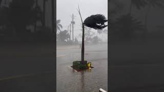 De ultimo minuto el huracán llegó a jamaica.dios los protega.